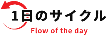 1日のサイクル Flow of the day